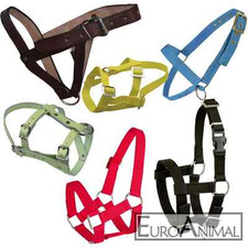 Kopfhalfter Schafhalfter