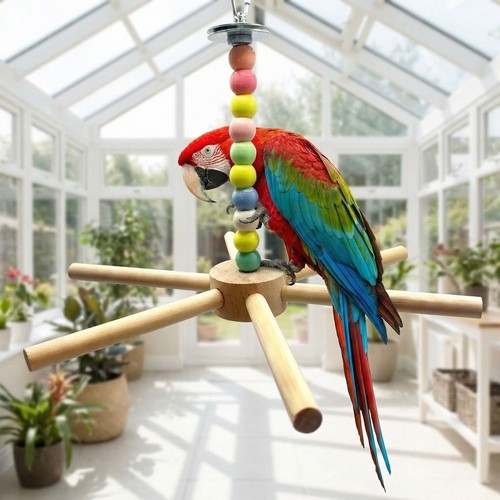 Rotierender vogel sitzstange - vogel,