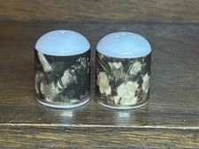 Rosenthal Mini Salz und