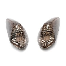 Getönte Blinker Paar Vorne