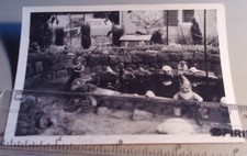 Altes Foto Gartenteich