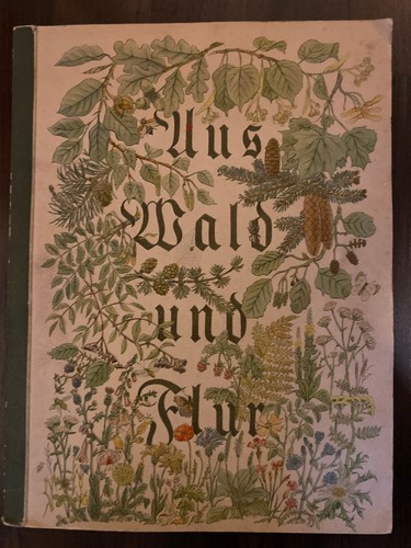 Aus wald und - wald, flur
