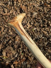 Eschenholz Gehstock schöner