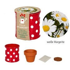 FRÖHLICHE TUPFEN KLEINES