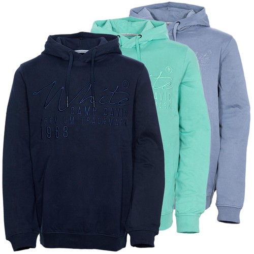 Camp david hoody - david,