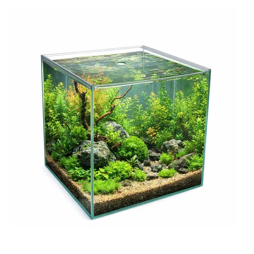 Aquarium würfel 30x30x30 - aquarium,