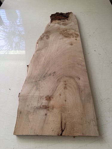 Ahorn kern holz gestockt - kern,