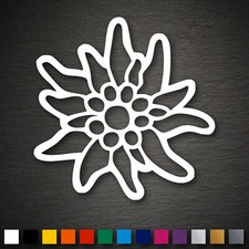 14078 Edelweiss Aufkleber 101x100mm Allgäu Alpen Verein Klettern Berge Alm