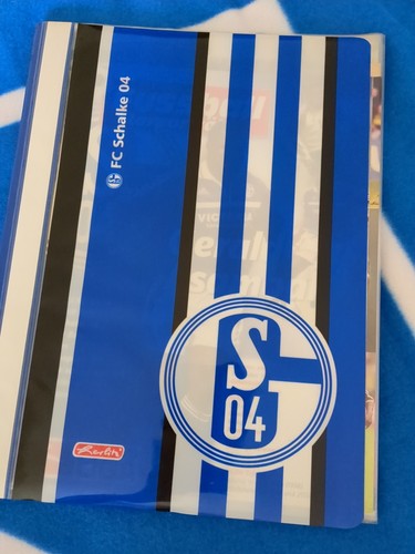 Schalke dfb - schalke, 04.