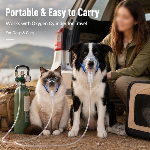Clear plastic oxygen - oxygen, mask