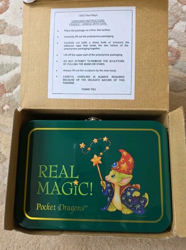 Pocket dragons real - real, magic