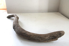 Schwemmholz Treibholz