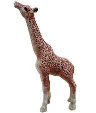 Giraffe Afrika Haus Garten