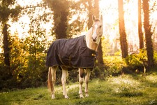 Bucas Irish Turnout  50g Classic Ripstop Black & Gold Regendecke