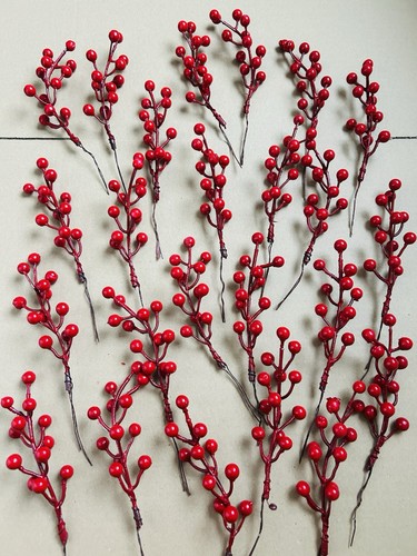 30x rote beeren - beeren, plektren