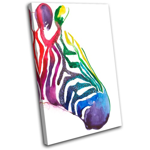 Zebra wildlife animals - zebra,