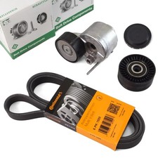 CONTITECH Keilrippenriemen INA