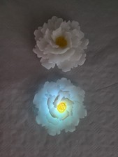 Echtwachskerzen Pfingstrosen