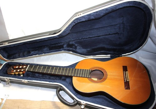 Classical acoustic guitar - classical,