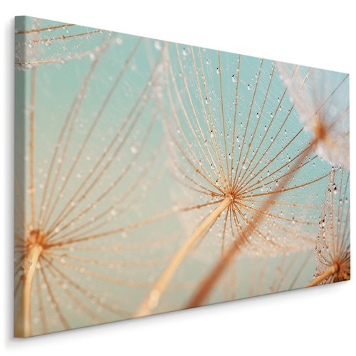 Canvas leinwand bilder xxl - leinwand,