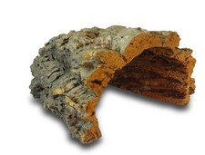 Kork Röhre: Kork Rinde, Nager