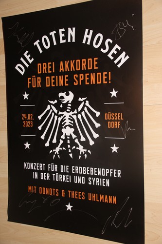 Die toten hosen konzert - die,