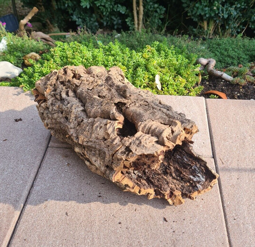Zierkorkrinde 27x17x14cm - ,