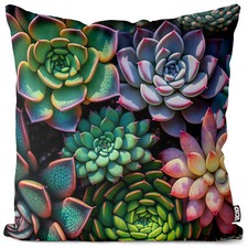 Bunte Sukkulenten Pflanzen