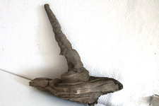 Schwemmholz Treibholz Skulptur