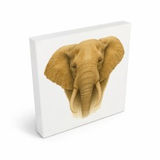 Safari Eleganz Elefantenkopf