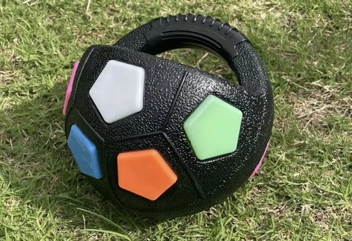Hundefußball ball hunde - -ball,
