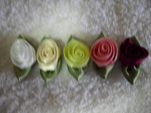 Satinrosen