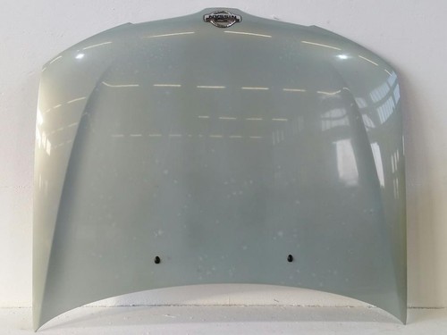 Haube motorhaube grün dx1 - grün,
