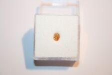 Edelsteine24 Gelboranger Naturdiamant Rosenschliff Oval 0.34ct 4,5x3,6mm ! D-508