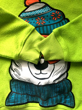 Kinderpullover grün Eisbar Winter Second Hand Hoodie kleine Loch Kapuze SEC1049