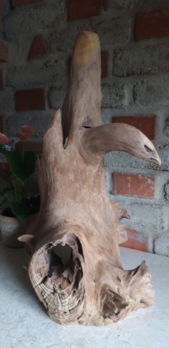Teak wurzelholz skulptur asia - teak,
