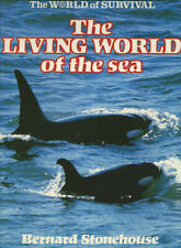 Stonehouse: The Living World of the Sea