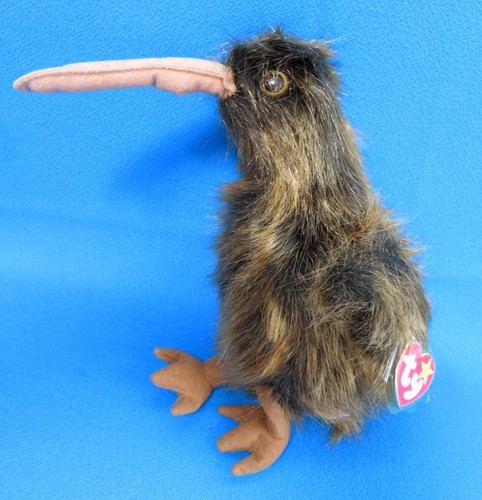 Grosser kiwi vogel neuseeland - vogel,
