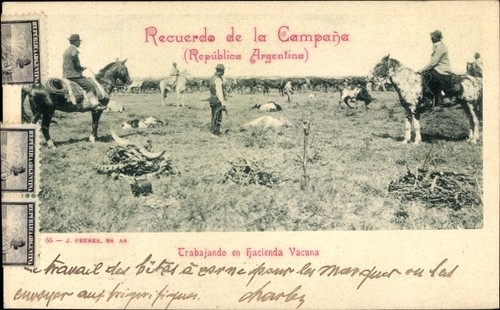 Campana argentinien - campana,