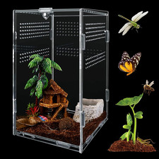 Reptilien Terrarium Box