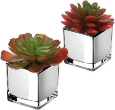 2 Künstliche Sukkulenten Glas Topf Mini Pflanze Bad Balkon Zimmer Deko