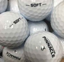 100 PINNACLE SOFT
