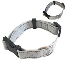 Hundehalsband Katzenhalsband