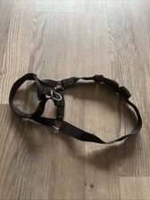 Karlie Halti/ Easy Leader