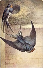 Künstler Ak Schwalben, Nest -