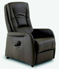 Fernsehsessel Leder Alpha Plus