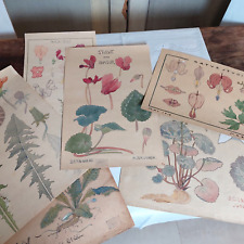 Antike Lehrtafeln, Schule, Botanik,z. T. mit Stempel, Kunstwerkschule,