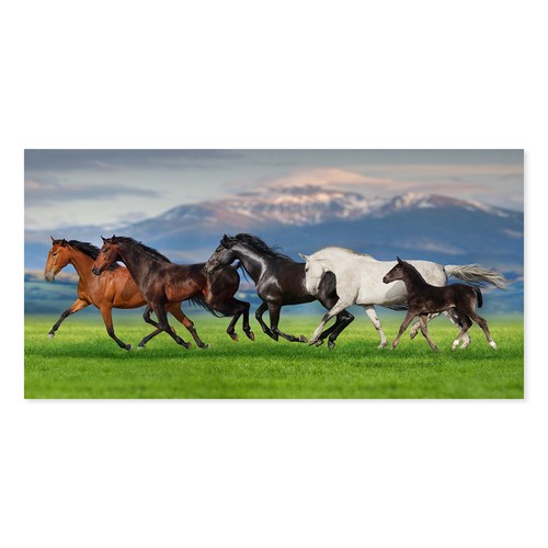 Postereck 3570 poster leinwand - postereck,