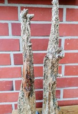 Treibholz Schwemmholz Stele