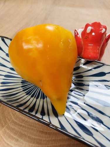 Süsse paprika aus russland - russland,